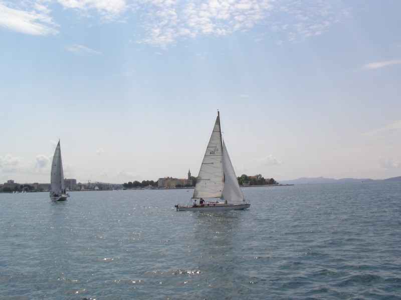 P5130838.JPG