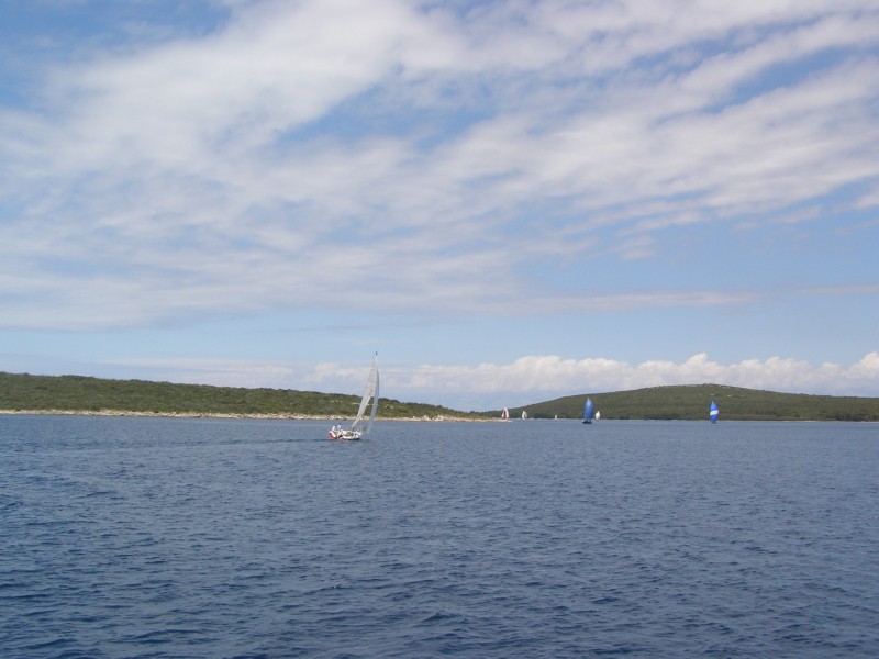P5130524.JPG