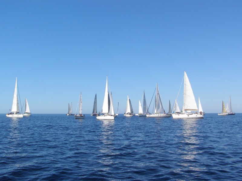 PA081214.JPG