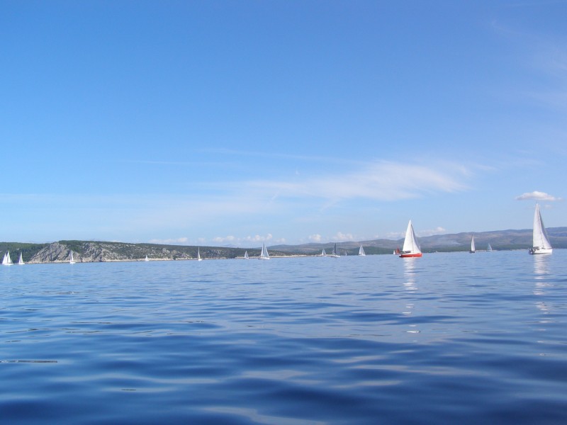 PA081229.JPG