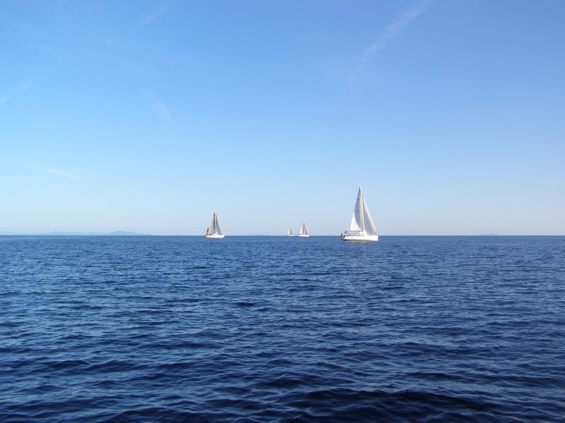 PA081230.JPG