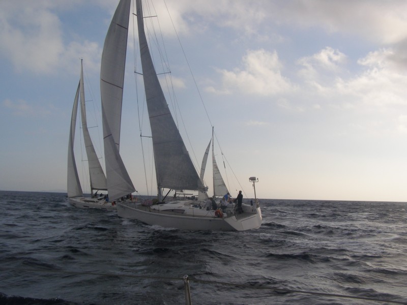 PA101279.JPG