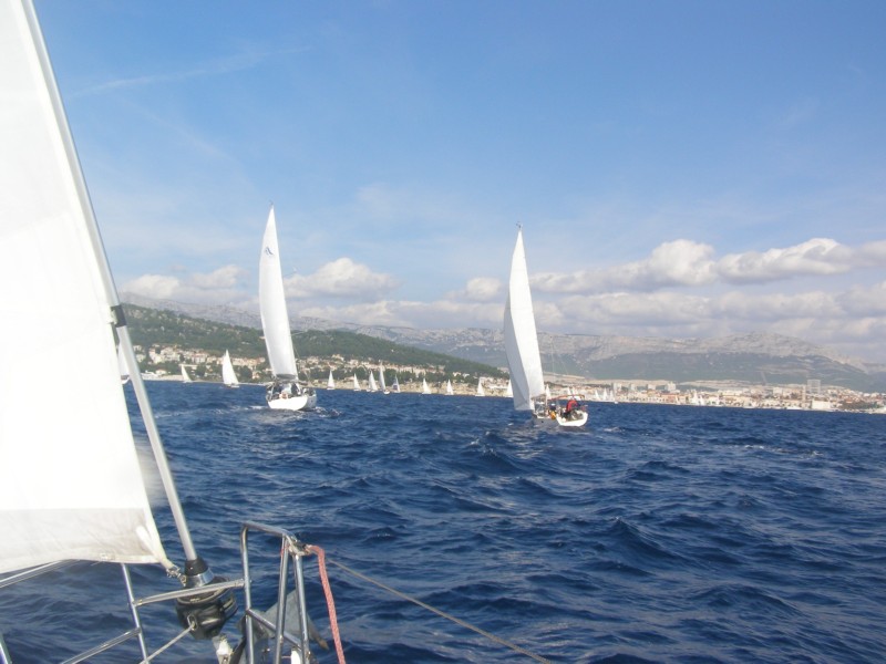 PA101291.JPG