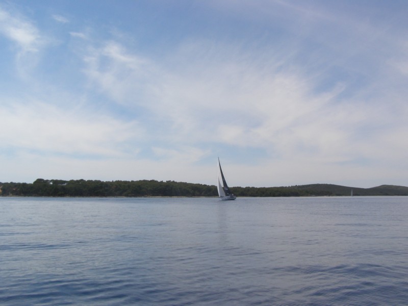 P6131363.JPG