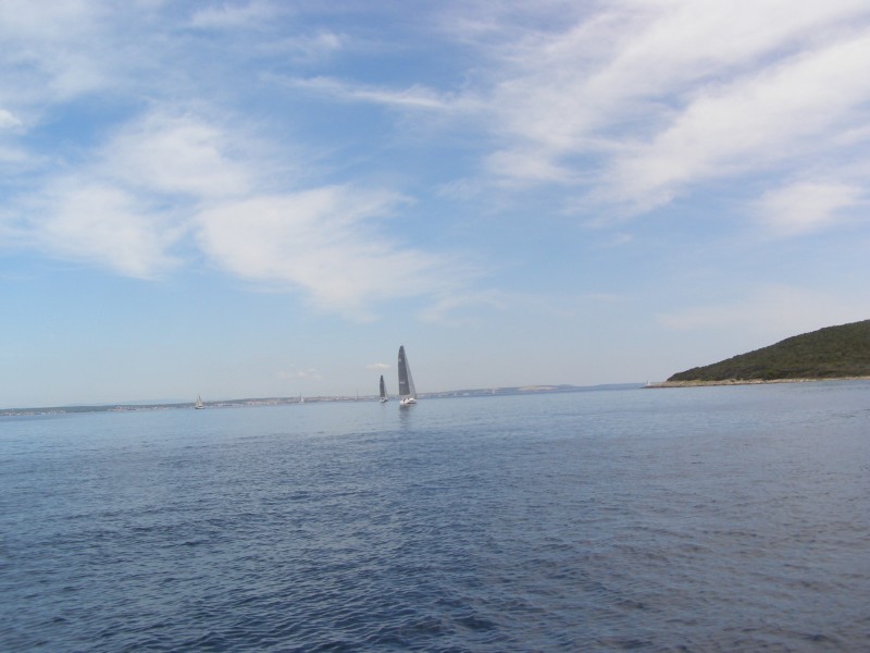 P6131373.JPG