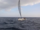 PA101264.JPG