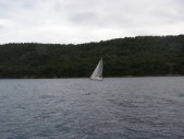 P5191023.JPG