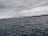P5191033.JPG